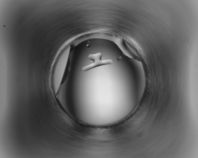 X0000092231324200709141058
