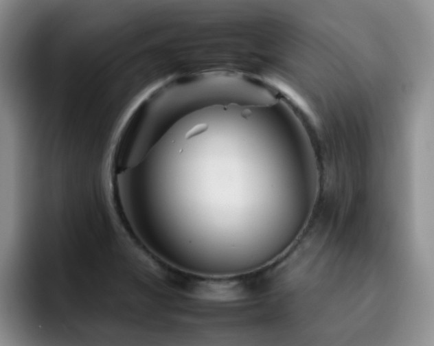 X0000092231325200709141058
