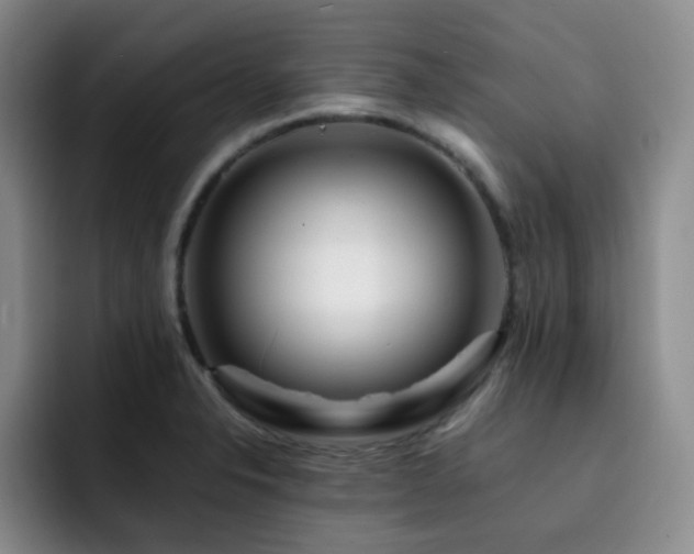 X0000092231326200709141058