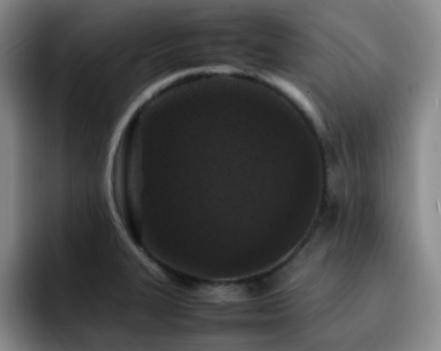 X0000092231327200709141058