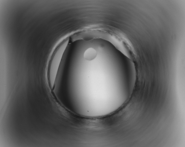 X0000092231328200709141058
