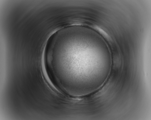 X0000092231329200709141058