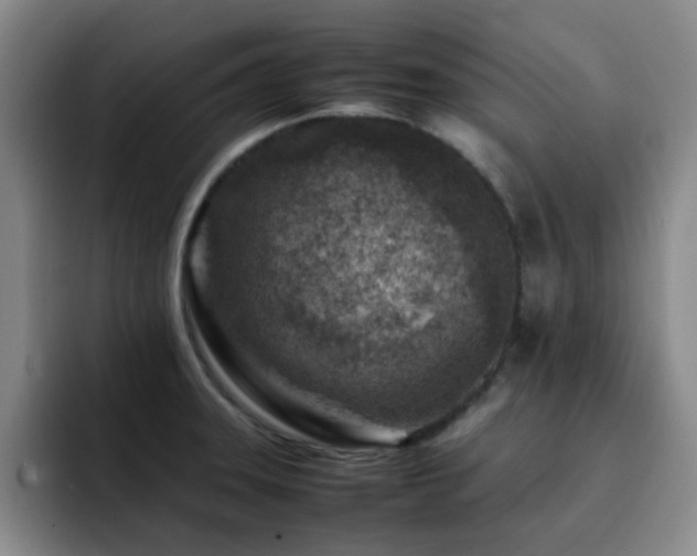 X0000092231331200709141058