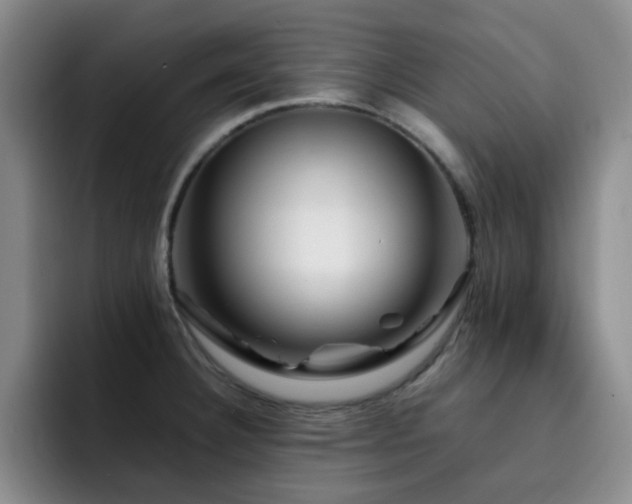 X0000092231332200709141058