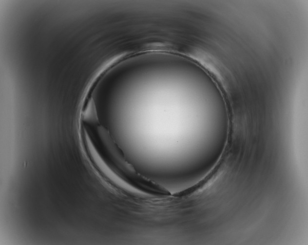 X0000092231333200709141058