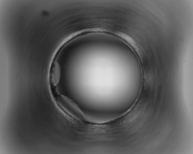 X0000092231335200709141059