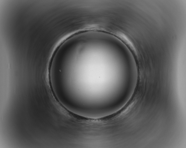 X0000092231336200709141059