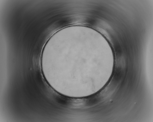 X0000092231338200709141059