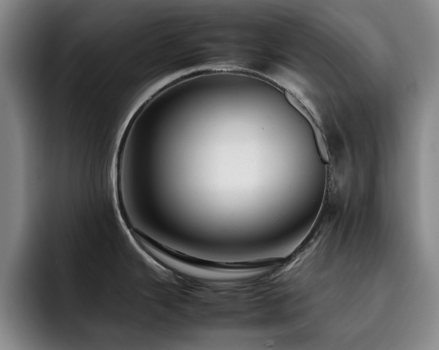 X0000092231343200709141059