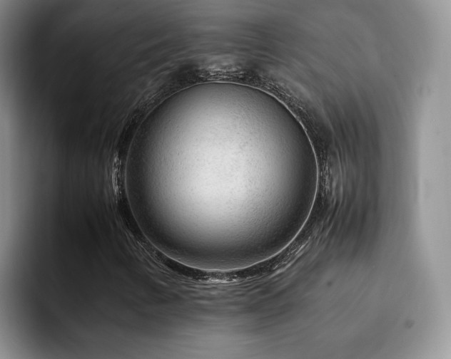 X0000092231346200709141058