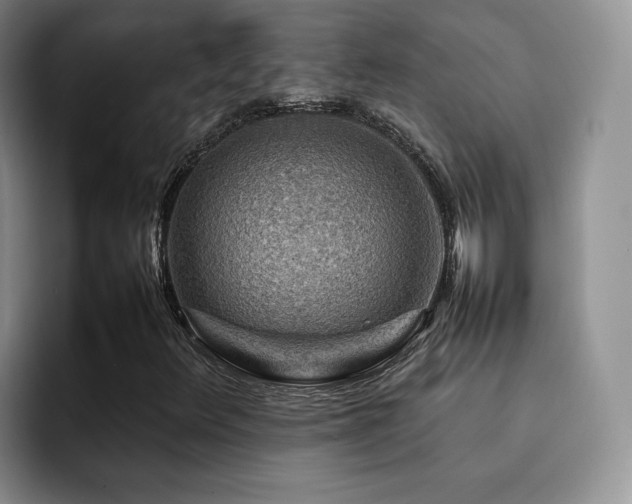 X0000092231348200709141058