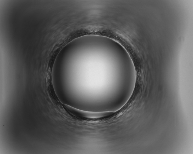 X0000092231349200709141058