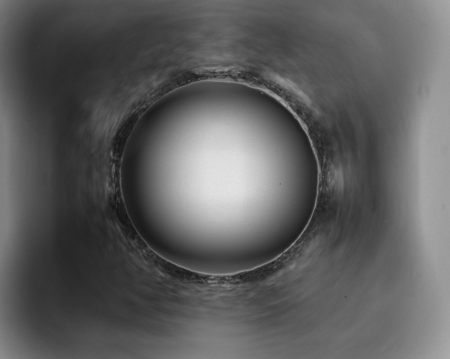 X0000092231350200709141058