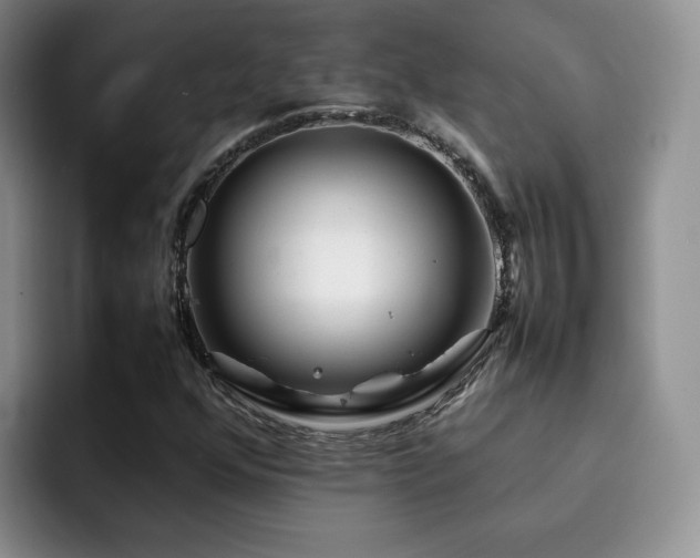 X0000092231352200709141058