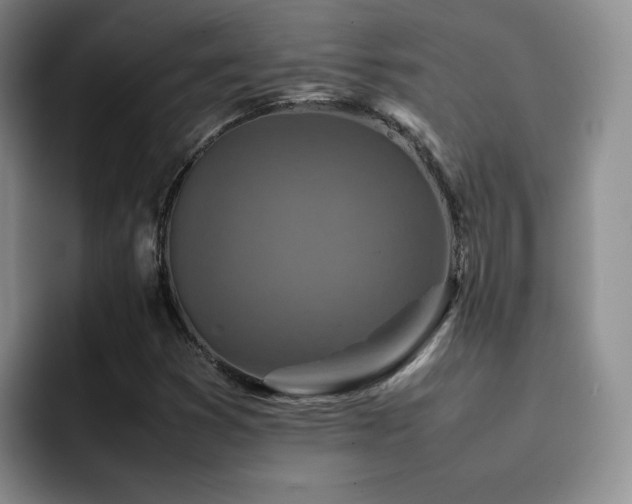 X0000092231353200709141058