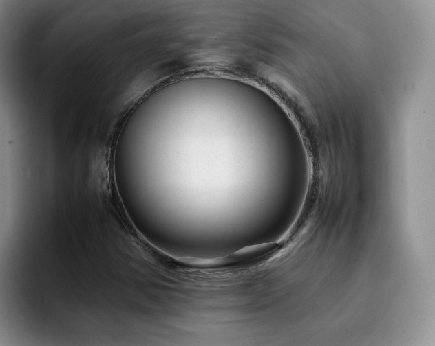 X0000092231354200709141058