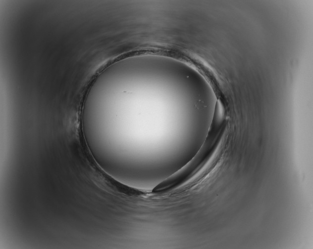 X0000092231355200709141058