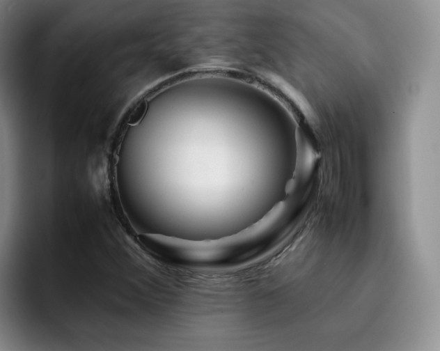 X0000092231356200709141058