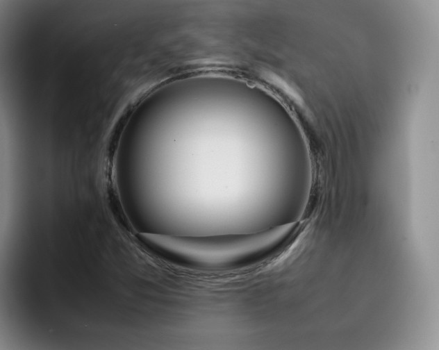 X0000092231357200709141058