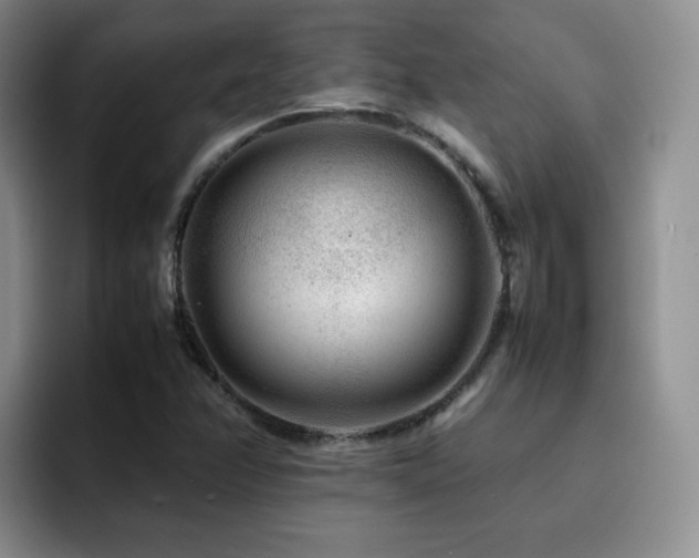 X0000092231358200709141058