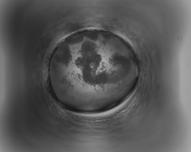 X0000092231359200709141058