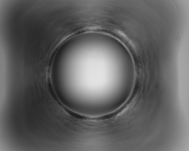 X0000092231361200709141058