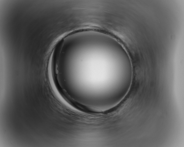 X0000092231363200709141058