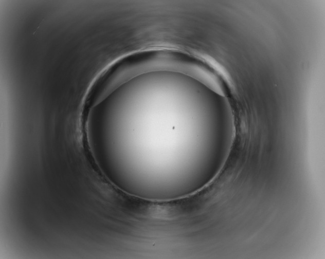 X0000092231364200709141058