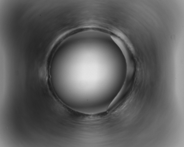 X0000092231368200709141058