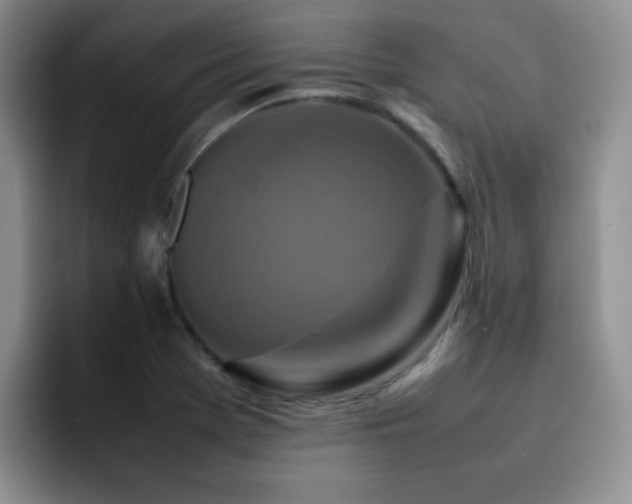 X0000092231369200709141058