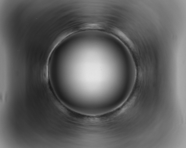 X0000092231370200709141058