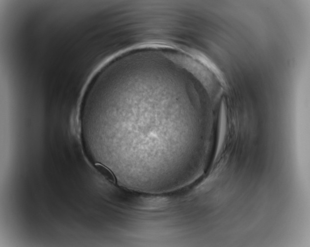 X0000092231372200709141058