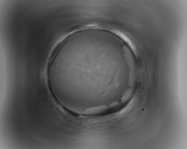 X0000092231373200709141058
