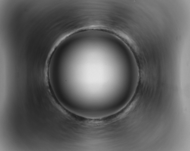 X0000092231374200709141058