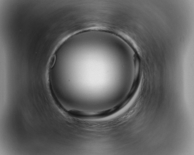 X0000092231375200709141058