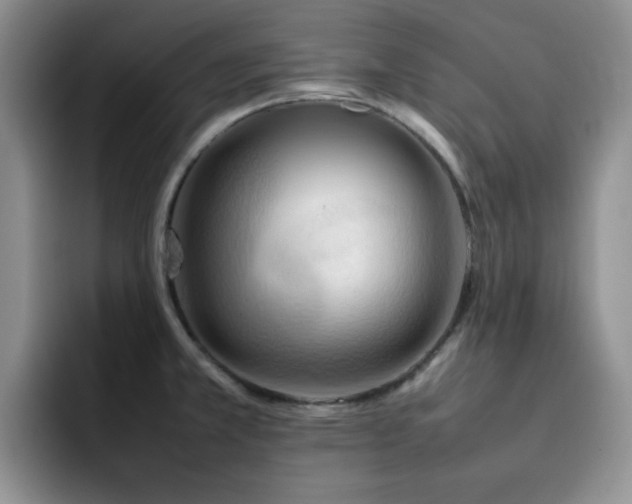 X0000092231381200709141057