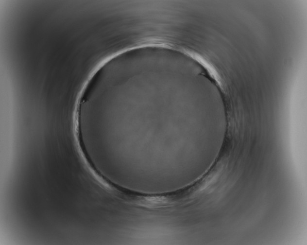 X0000092231383200709141057