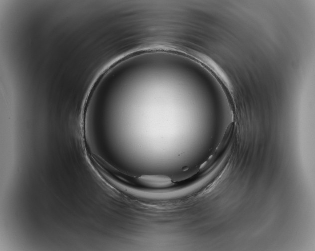 X0000092231388200709141057