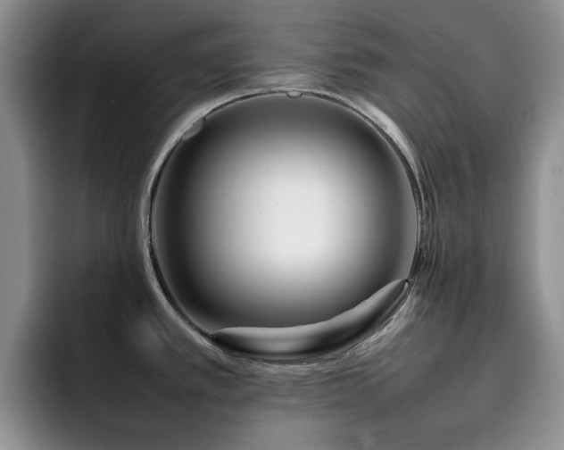 X0000092231389200709141057