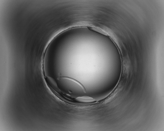 X0000092231390200709141057