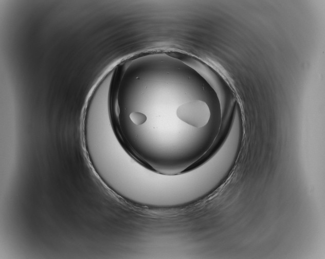 X0000092231392200709141057
