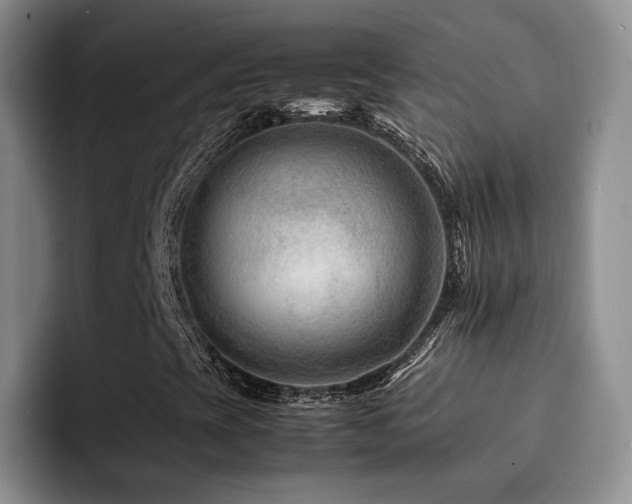 X0000092231393200709141057