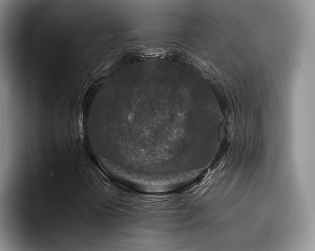 X0000092231394200709141057
