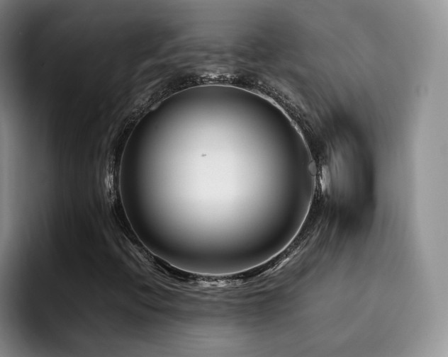 X0000092231396200709141057