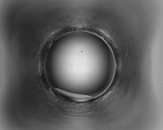 X0000092231398200709141057