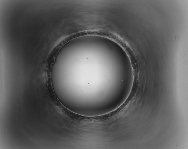 X0000092231400200709141057