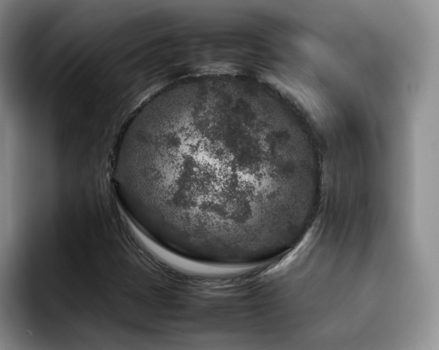 X0000092231401200709141057