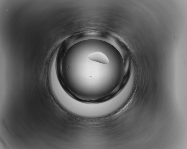 X0000092231402200709141057