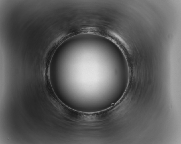 X0000092231403200709141057