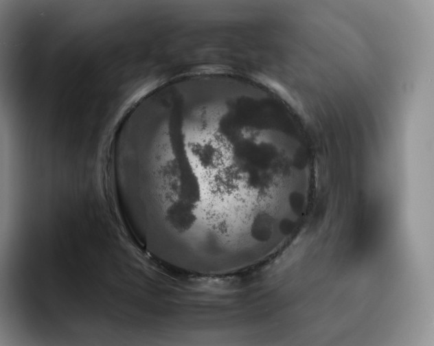X0000092231405200709141057